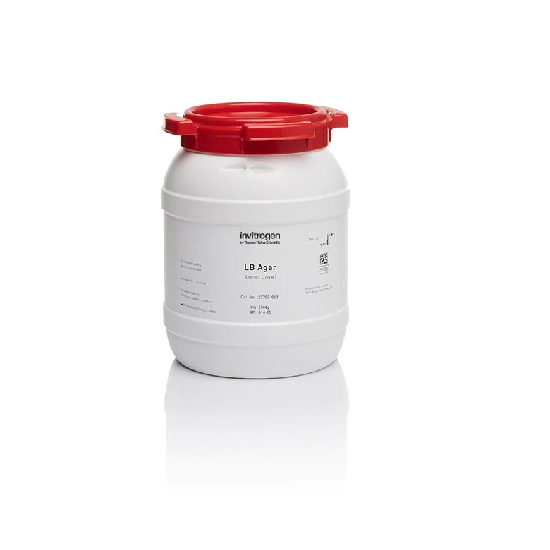 Invitrogen™ LB Agar, powder (Lennox L agar), 2.5 Kg