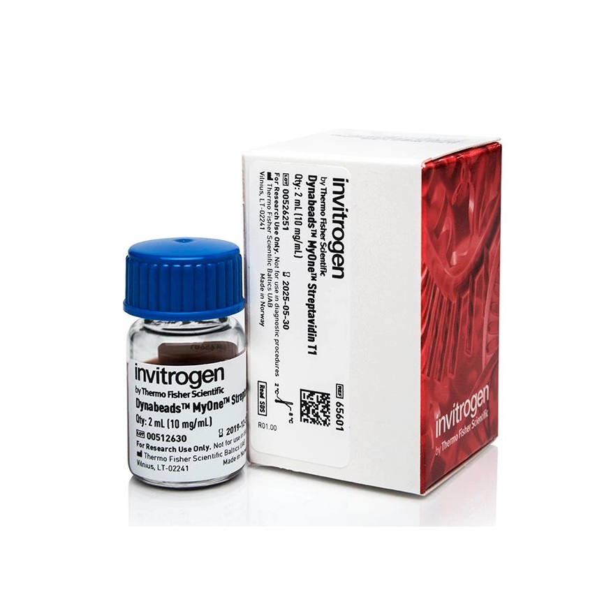 Invitrogen™ Dynabeads™ MyOne™ Streptavidin T1, 2 mL