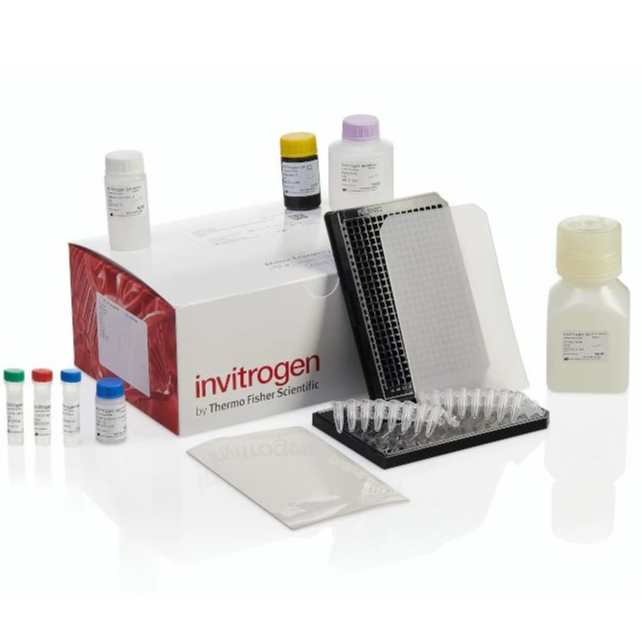 Invitrogen™ Immune Monitoring 48-Plex Mouse ProcartaPlex™ Panel, 384 well (lyophilized beads)