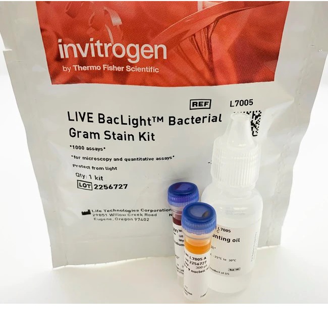 Invitrogen™ LIVE BacLight™ Bacterial Gram Stain Kit, for microscopy & quantitative assays