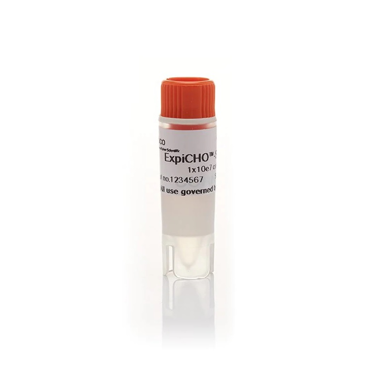 Gibco™ ExpiCHO-S™ Cells, 6 Vial Cell Bank Pack