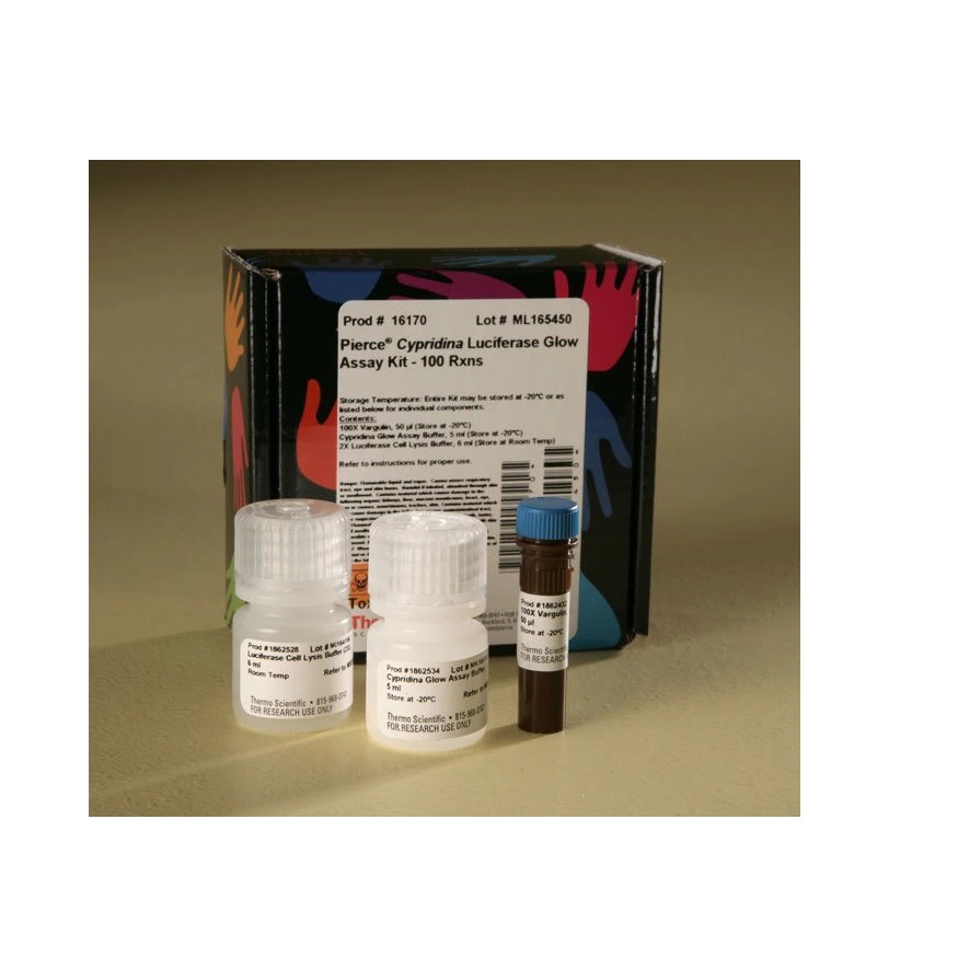 Thermo Scientific™ Pierce™ Cypridina Luciferase Glow Assay Kit, 100 Reactions