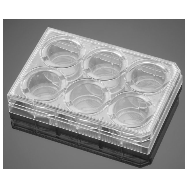 Corning® PureCoat™ 6-well Carboxyl Plate, 50/Case