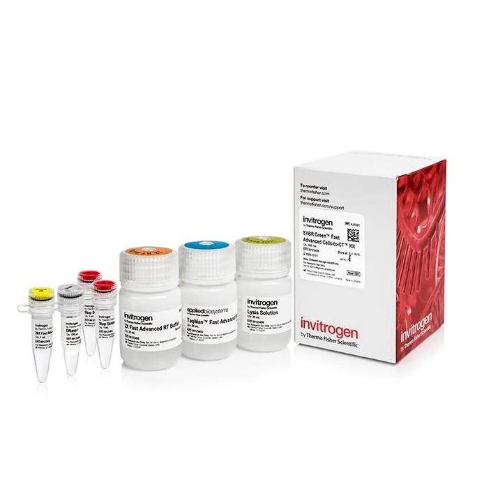 Invitrogen™ SYBR™ Green Fast Advanced Cells-to-CT™ Kit, 400 Reactions