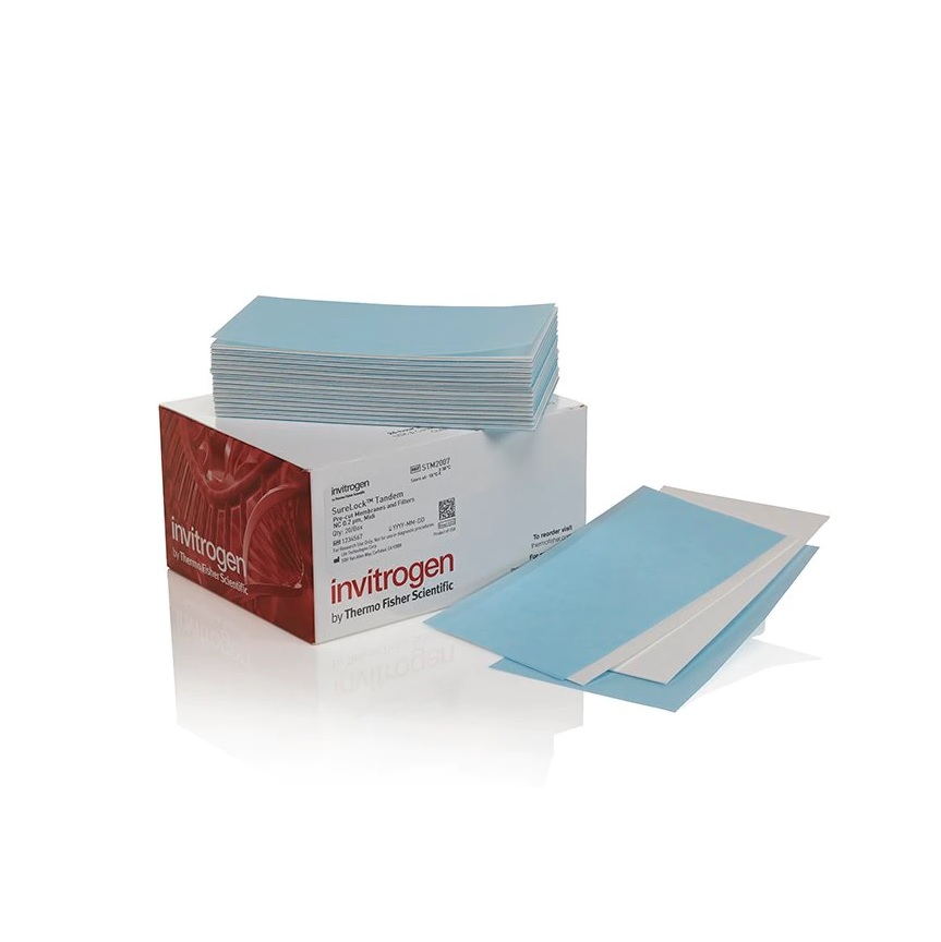 Invitrogen™ SureLock™ Tandem Midi Pre-cut Membranes and Filters, 0.2 μm, nitrocellulose