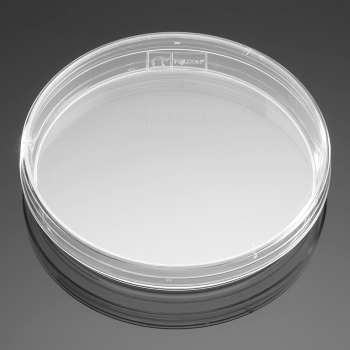 Falcon® 150 mm x 15 mm Not TC-treated Bacteriological Petri Dish