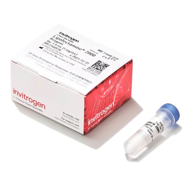 Invitrogen™ Lipofectamine™ 2000 Transfection Reagent, 1.5 mL