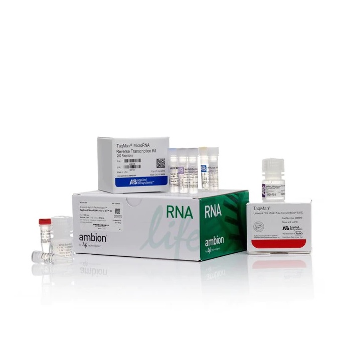 Invitrogen™ TaqMan™ MicroRNA Cells-to-CT™ Kit