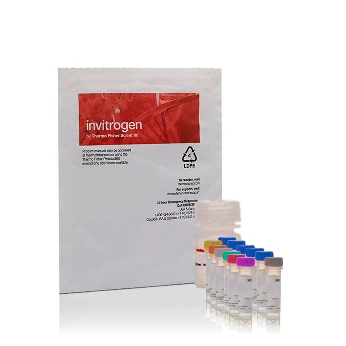 Invitrogen™ Amplex™ Red Phosphatidylcholine-Specific Phospholipase C Assay Kit