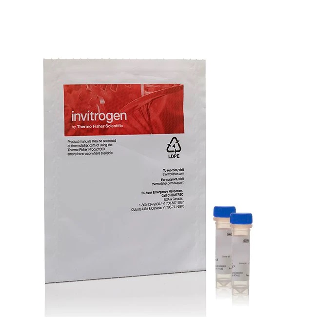 Invitrogen™ Oregon Green™ 488 BAPTA-6F, Hexapotassium Salt, cell impermeant