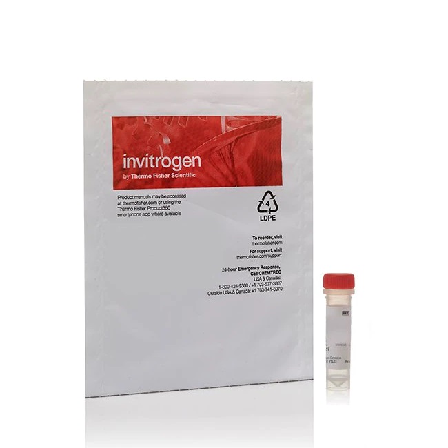 Invitrogen™ Image-iT™ Red Hypoxia Reagent