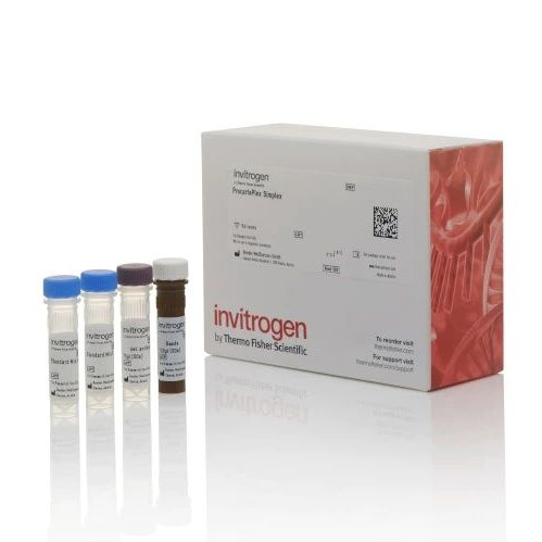 Invitrogen™ IL-18 Non-Human Primate ProcartaPlex™ Simplex Kit