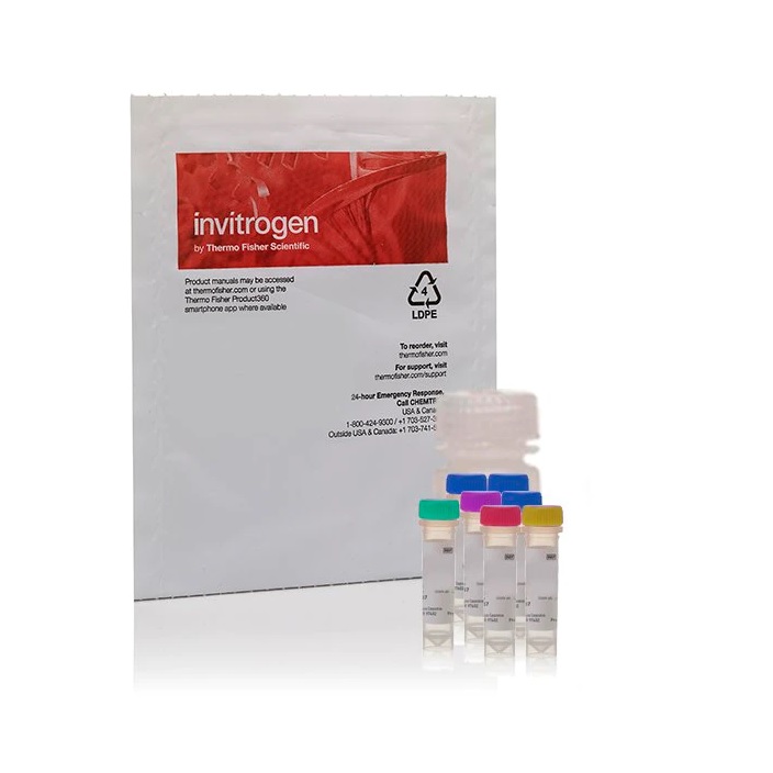 Invitrogen™ Amplex™ Red Catalase Assay Kit