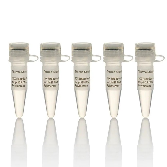 Thermo Scientific™ Reaction Buffer for phi29 DNA Polymerase (10X)