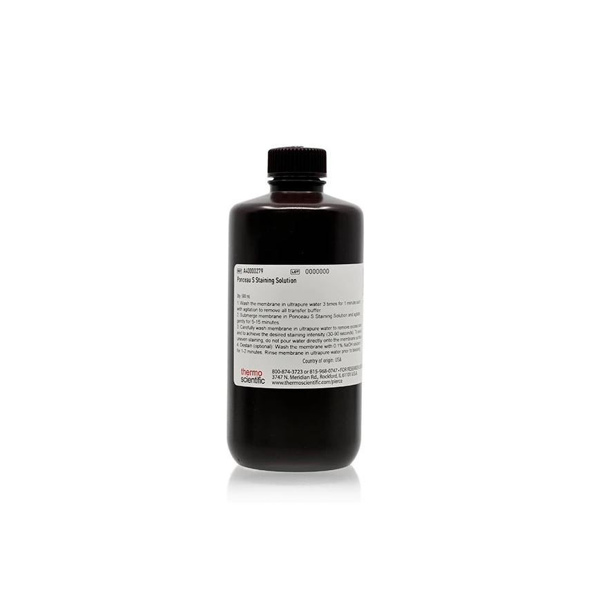 Thermo Scientific™ Ponceau S Staining Solution