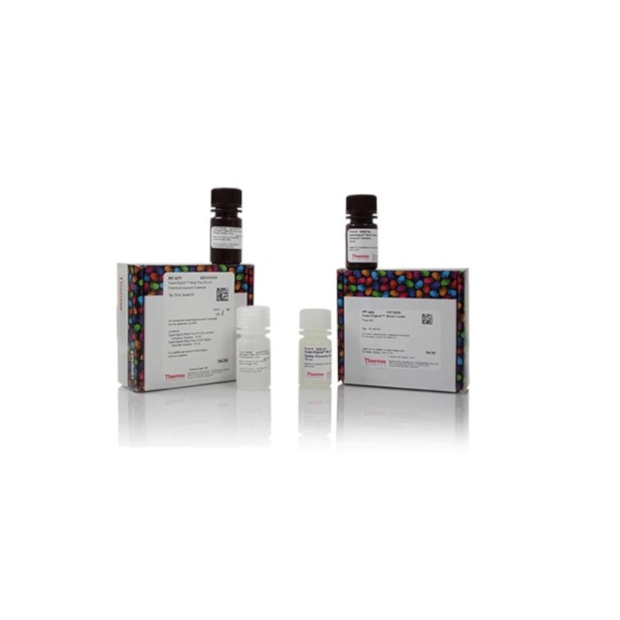 Thermo Scientific™ SuperSignal™ Western Blot Substrate Trial Pack, Atto & Pico PLUS