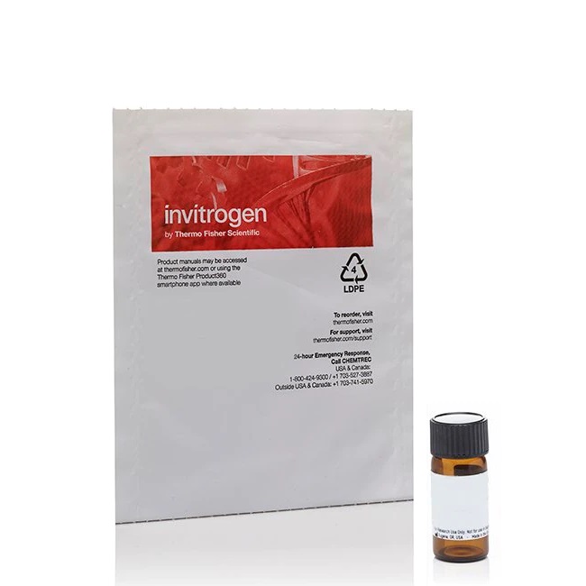 Invitrogen™ Paclitaxel (Taxol Equivalent) - for use in research only