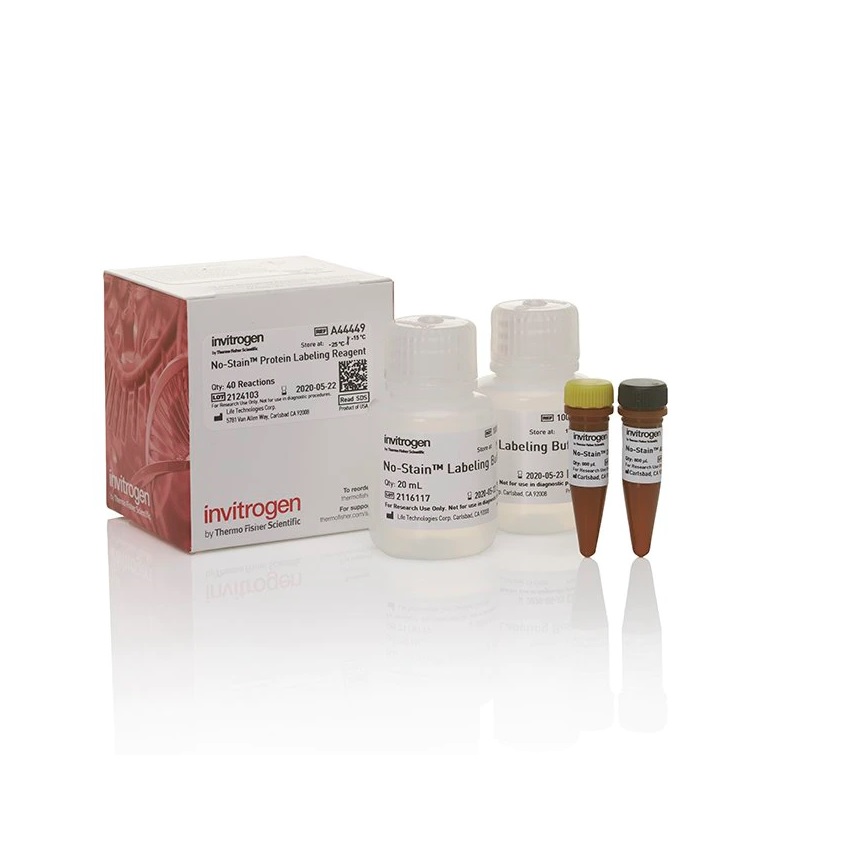 Invitrogen™ No-Stain™ Protein Labeling Reagent, 10 Reactions