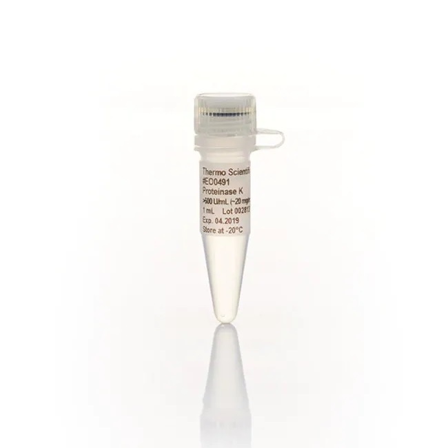 Thermo Scientific™ Proteinase K, recombinant, PCR grade, 1 mL
