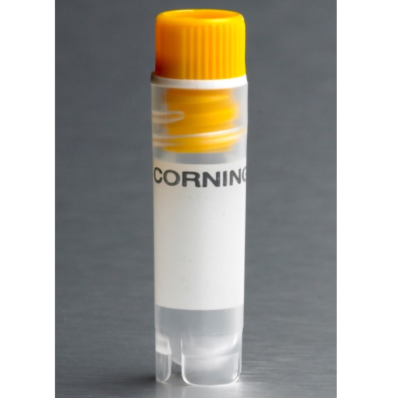 Corning® 2 mL Yellow Cap Internal Threaded Polypropylene Cryogenic Vial, Self-Standing with Round Bottom