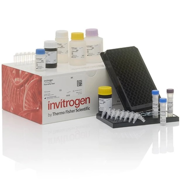 Invitrogen™ Th1/Th2 Cytokine 11-Plex Mouse ProcartaPlex™ Panel