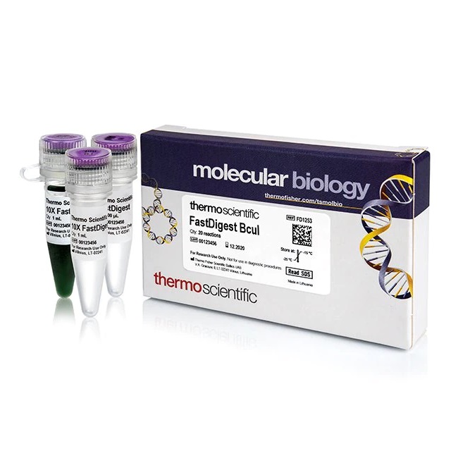 Thermo Scientific™ FastDigest BcuI, 20 reactions