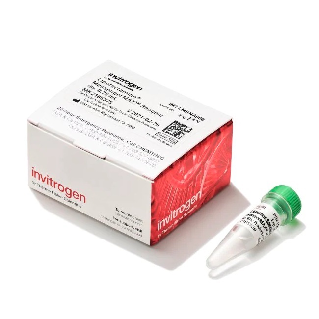 Invitrogen™ Lipofectamine™ MessengerMAX™ Transfection Reagent, 0.75 mL