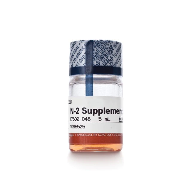 Gibco™ N-2 Supplement (100X), 5 mL