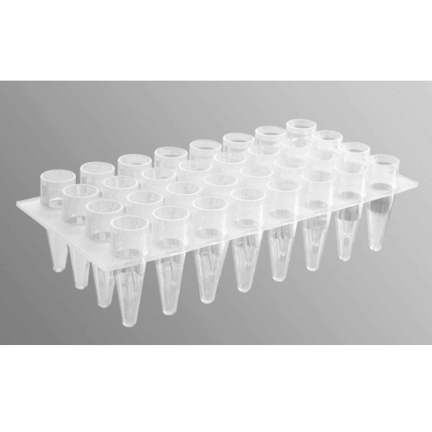 Axygen® 32 Well Polypropylene PCR Microplate, Clear, Nonsterile