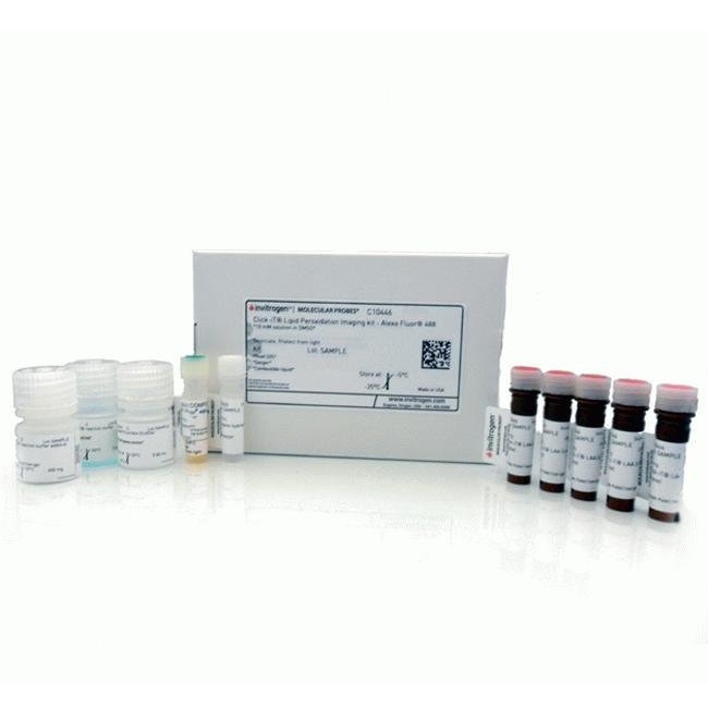 Invitrogen™ Click-iT™ Lipid Peroxidation Imaging Kit - Alexa Fluor™ 488