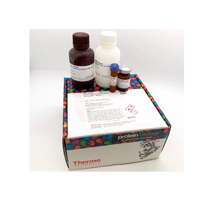 Thermo Scientific™ Pierce™ Renilla-Firefly Luciferase Dual Assay Kit, 1000 Reactions