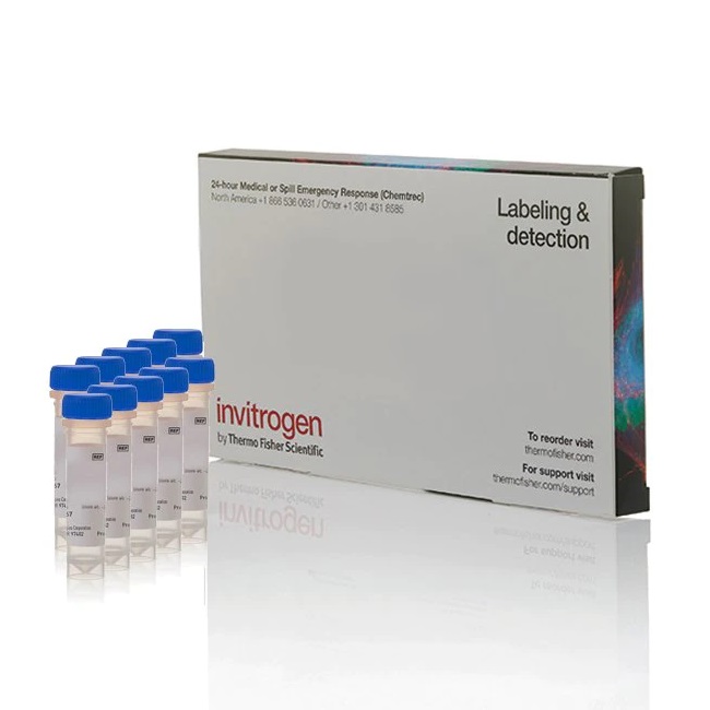 Invitrogen™ Mag-Fluo-4, AM, cell permeant - Special Packaging