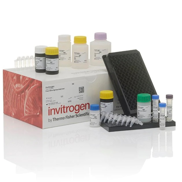 Invitrogen™ High Sensitivity 9-Plex Human ProcartaPlex™ Panel