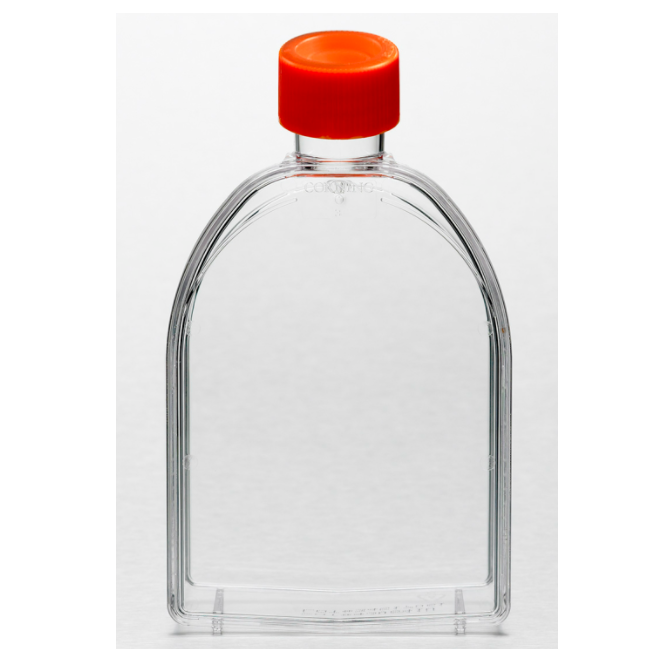 Corning® U-Shaped Canted Neck Not Treated Cell Culture Flask with Vent Cap, 75cm²
