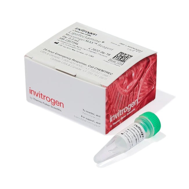Invitrogen™ Lipofectamine™ MessengerMAX™ Transfection Reagent, 0.3 mL