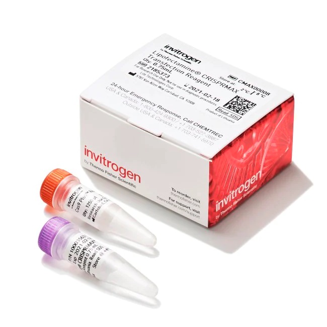 Invitrogen™ Lipofectamine™ CRISPRMAX™ Cas9 Transfection Reagent, 0.75 mL