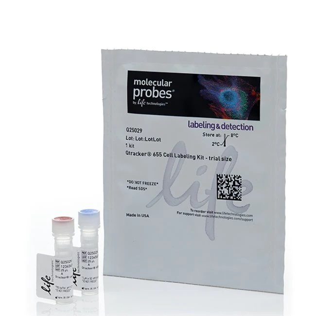 Invitrogen™ Qtracker™ 655 Cell Labeling Kit (Trial Size)