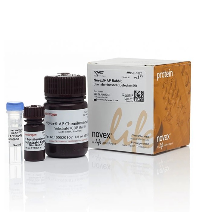 Invitrogen™ Novex™ AP Mouse Chemiluminescent Detection Kit