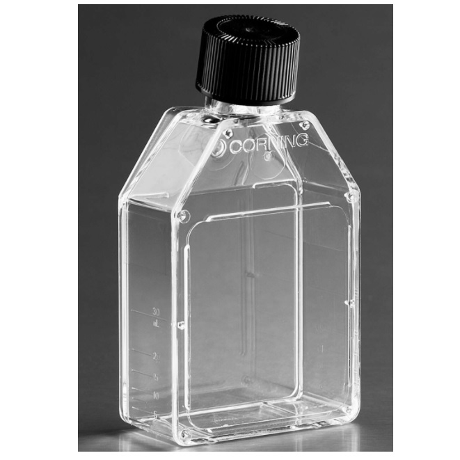 Corning® Rectangular Canted Neck Cell Culture Flask with Phenolic-Style Cap, 25 cm²