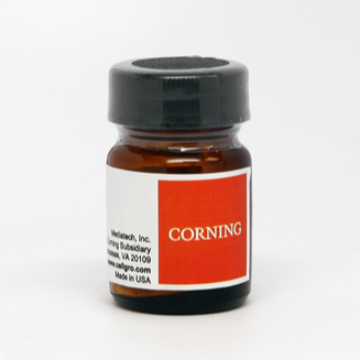 Corning® 100 mg Gentamicin Sulfate, Powder