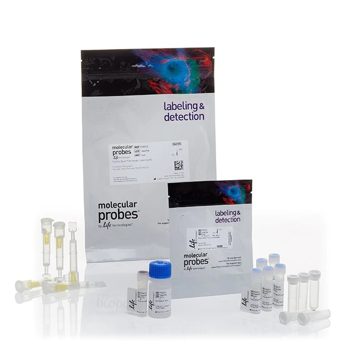 Invitrogen™ Alexa Fluor™ 488 Antibody Labeling Kit