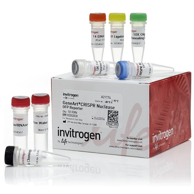 Invitrogen™ GeneArt™ CRISPR Nuclease Vector with OFP Reporter Kit (with competent cells)