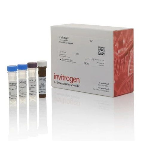 Invitrogen™ Kallikrein-6 (KLK6) Human ProcartaPlex™ Simplex Kit