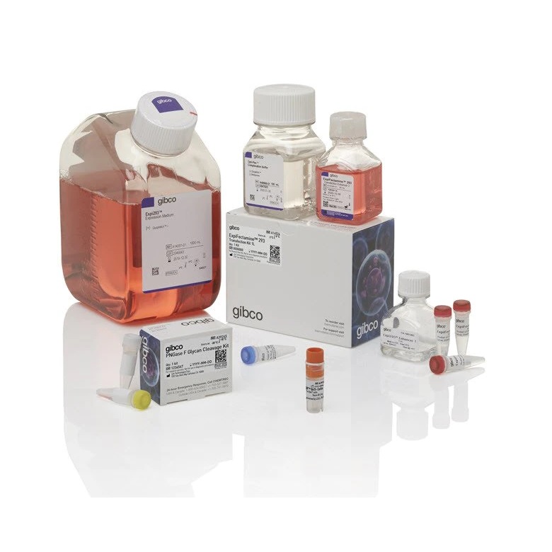 Gibco™ Expi293™ Inducible GnTI- Expression System Kit
