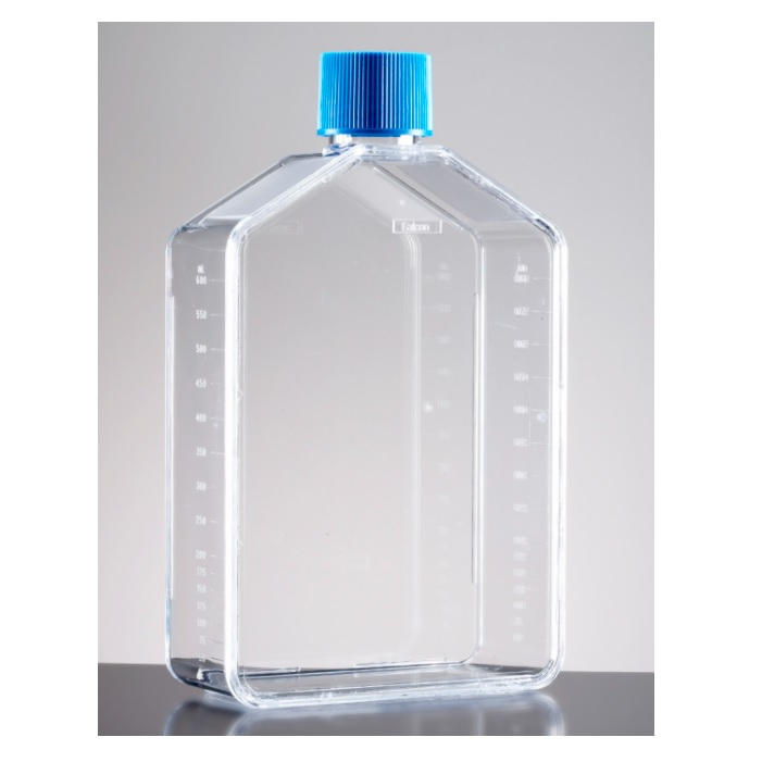 Falcon® Rectangular Straight Neck Cell Culture Flask With Vented Cap, 175 cm²