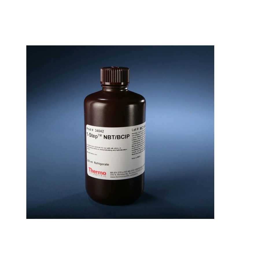 Thermo Scientific™ 1-Step™ NBT/BCIP Substrate Solution