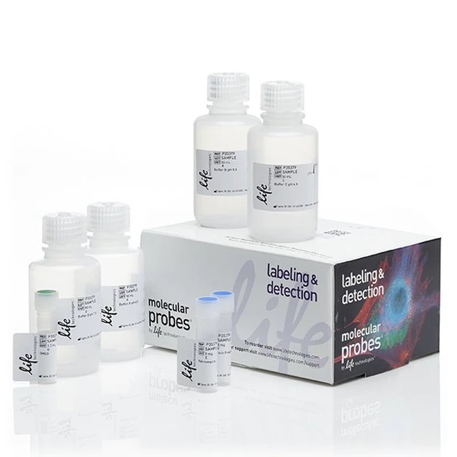 Invitrogen™ Intracellular pH Calibration Buffer Kit