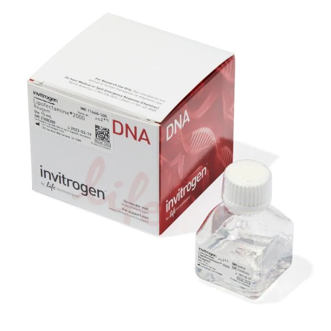 Invitrogen™ Lipofectamine™ 2000 Transfection Reagent, 15 ml