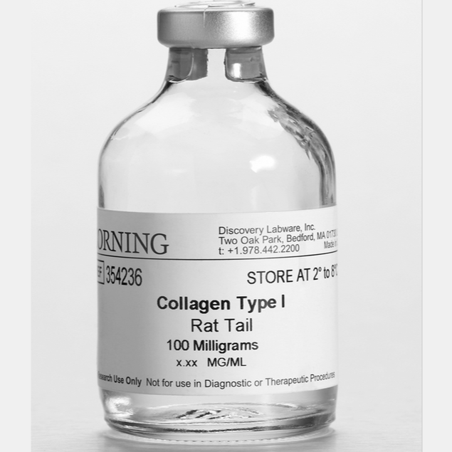 Corning® 100 mg Collagen I, Rat Tail