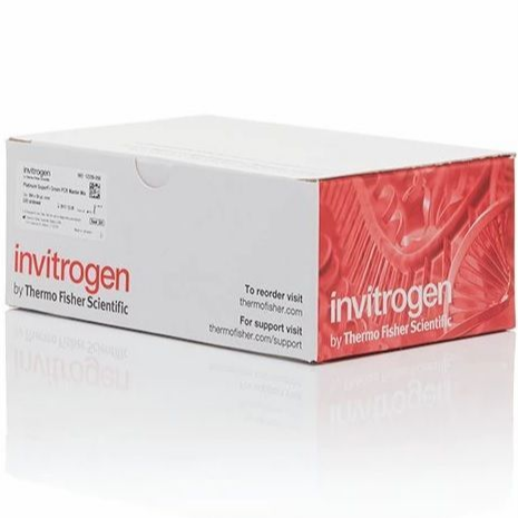 Invitrogen™ eBioscience™ Human Regulatory T Cell Staining Kit #2